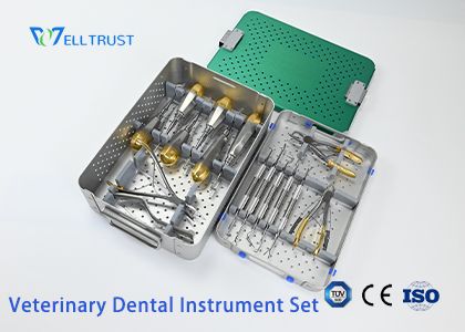 Veterinary Dental Instrument Kit: Essential Instruments for Small Animal Dental Procedures